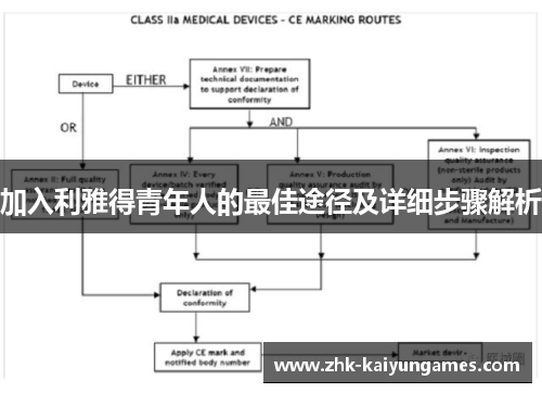 加入利雅得青年人的最佳途径及详细步骤解析