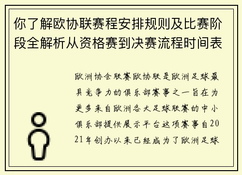 你了解欧协联赛程安排规则及比赛阶段全解析从资格赛到决赛流程时间表详解